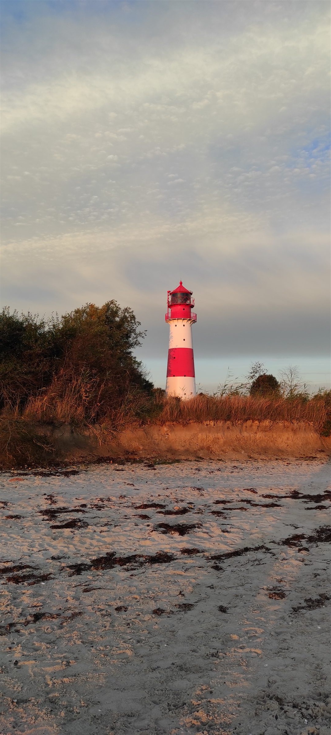 Rot-weißer Leuchtturm Falshöft hinter Strand und Küstenbewuchs
