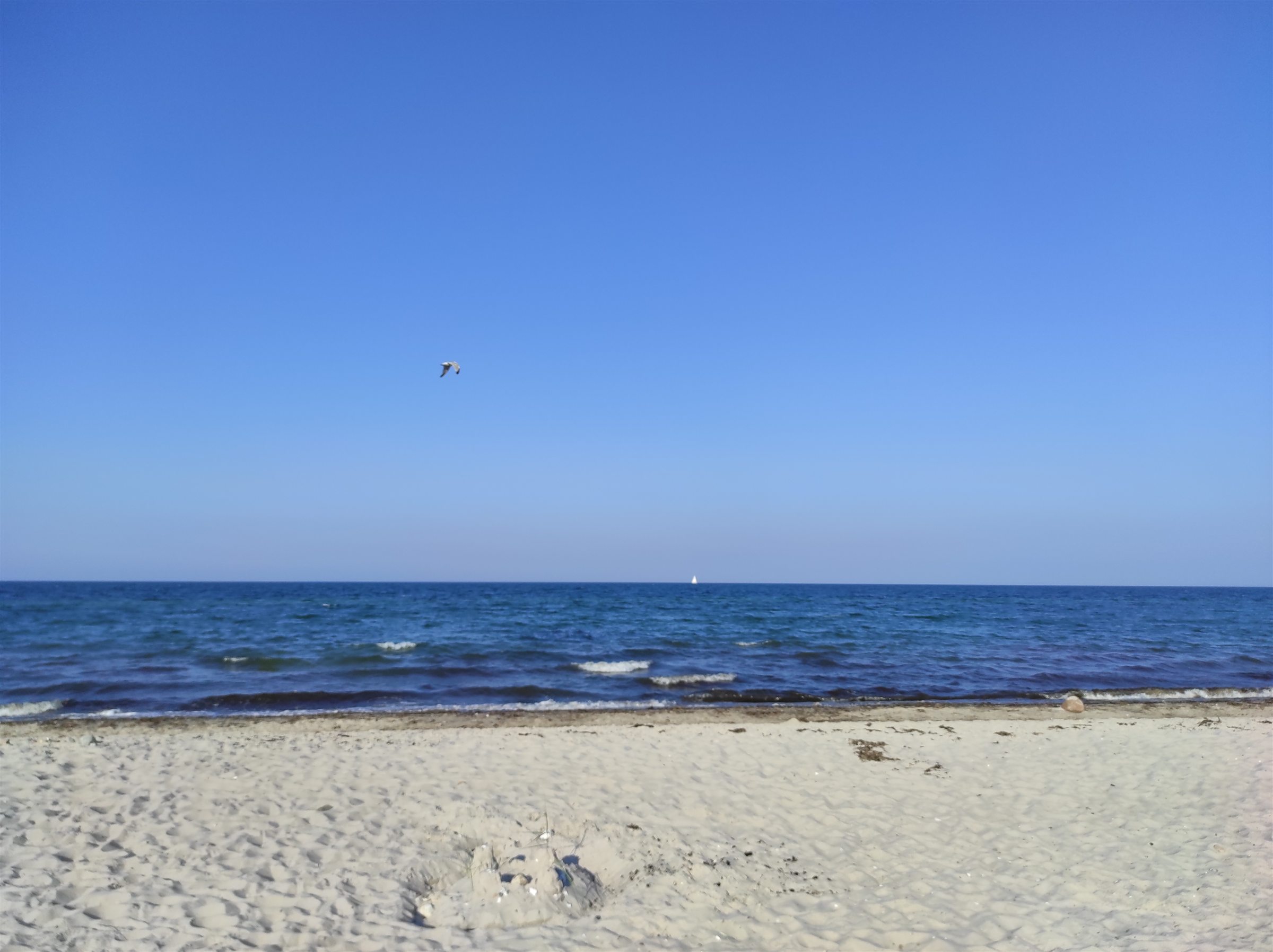 Ruhiger Ostseestrand unter weitem blauem Himmel